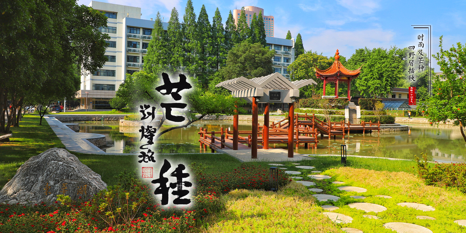 2025芒种节气