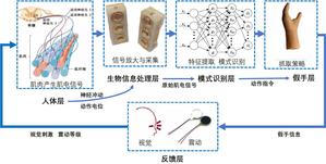 我校在第50届日内瓦国际发明展上斩获一金四银